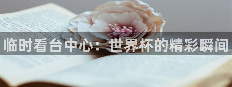 2026世界杯对阵图:临时看台中心:世界杯的精彩瞬间
