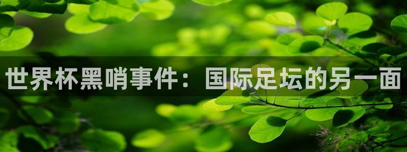 足球世界杯时间:世界杯黑哨事件:国际足坛的另一面