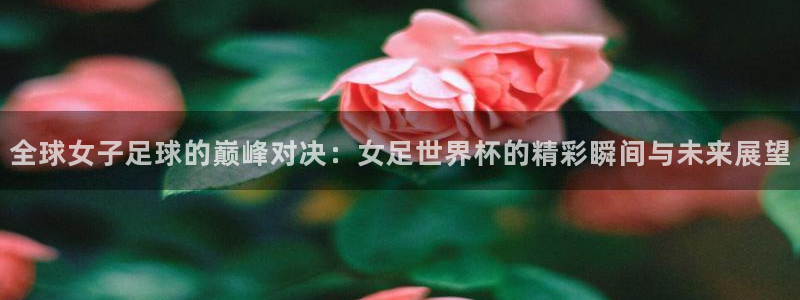 2026年男足世界杯:全球女子足球的巅峰对决:女足世界杯的精彩瞬间与未来展望