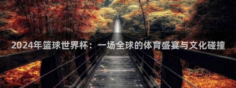 世界杯女足直播:2024年篮球世界杯:一场全球的体育盛宴与文化碰撞