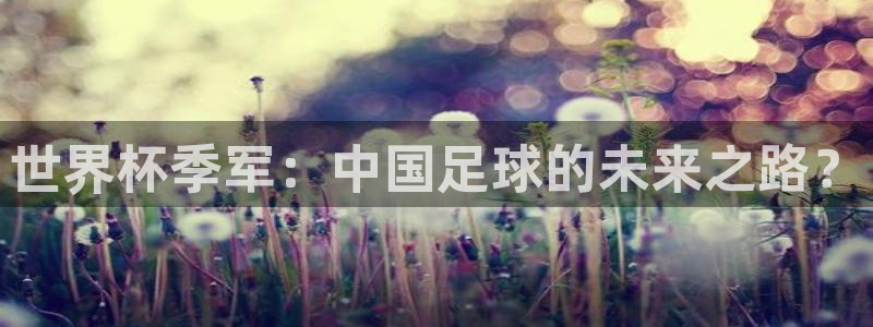 2026世亚预赛赛程表:世界杯季军:中国足球的未来之路?