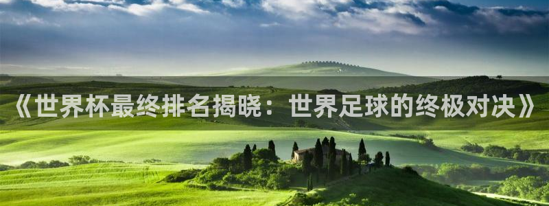 世界杯2026预选赛:《世界杯最终排名揭晓:世界足球的终极对决》