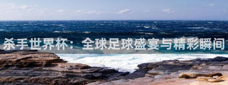 看世界杯:杀手世界杯:全球足球盛宴与精彩瞬间
